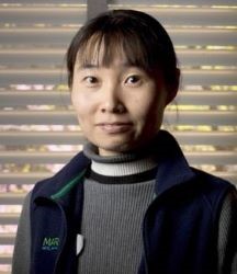 Prof Xiaodong Zou