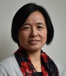 Prof Xiaodong Zou