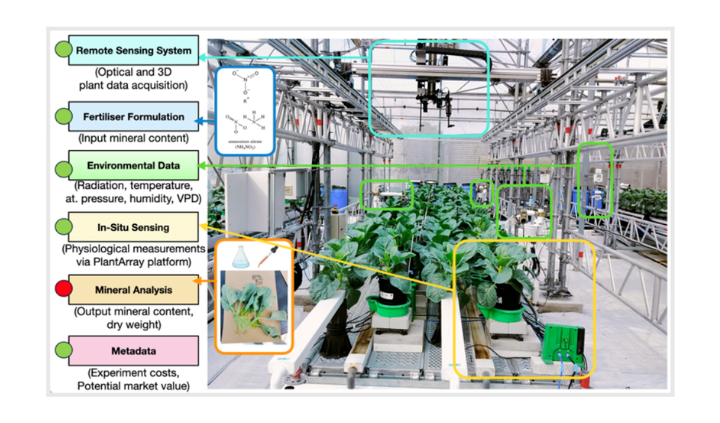 Smartphone RGB   LiDAR for non‑destructive nitrogen/biomass assessment