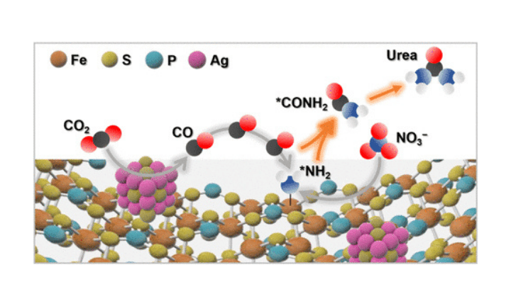 Decoupled Control of CO2and Nitrate Reduction Intermediates to Enable Efficient Tandem Urea Electrosynthesis