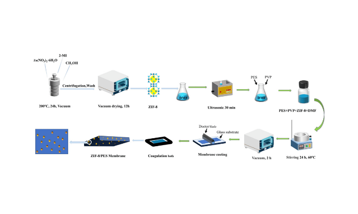 One-step engineering of multifunctional ZIF-8/PES membrane for synergistic separation of selected proteins, dyes and antibiotics