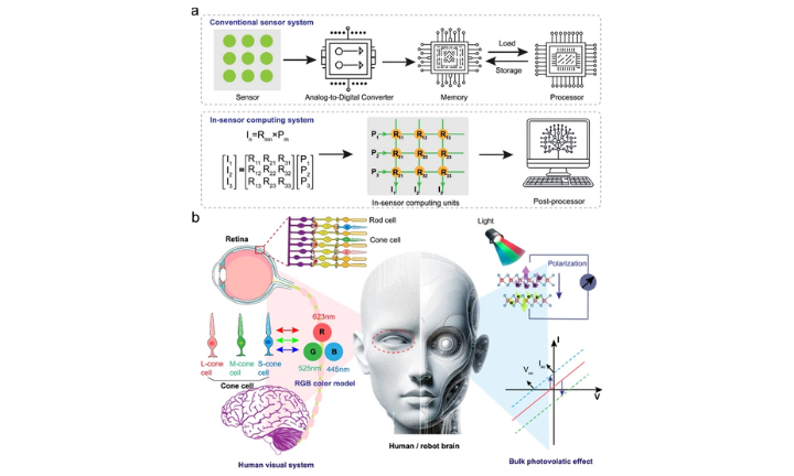 Design and mechanisms of in-sensor computing systems inspired by the human visual system