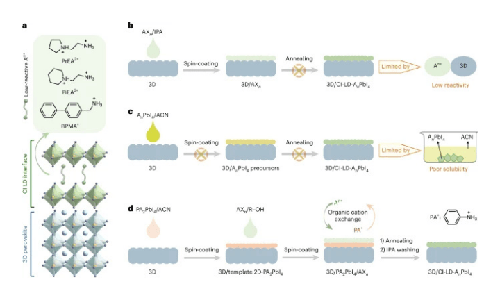 Selective templating growth of chemically inert low-dimensional interfaces for perovskite solar cells