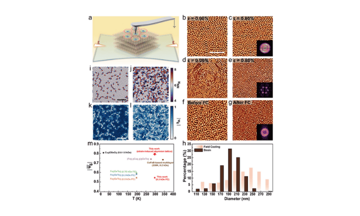 Strain-Induced Robust Skyrmion Lattice at Room Temperature in van der Waals Ferromagnet