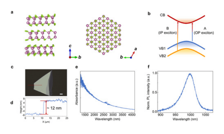 Strong Mid-Infrared Optical Harmonic Processes Mediated by Excitons in Layered Indium Selenide