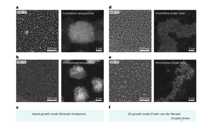 Proof-of-concept experiments probing the nanodroplet-driven growth of amorphous and crystalline PtSex at a single laye
