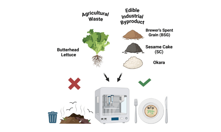 Valorization of edible industrial and agricultural food byproducts for rheological properties and 3D printability in food inks