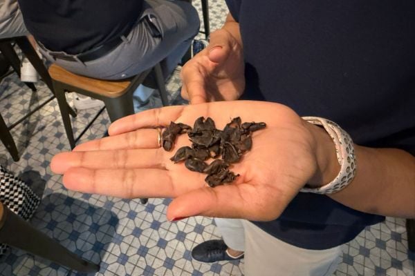 600x400_Sitefinity Thumbnail (24)