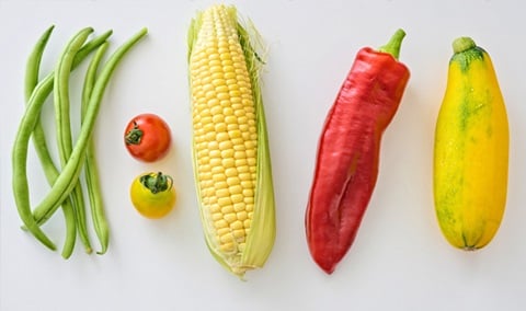 golden-light-730x432