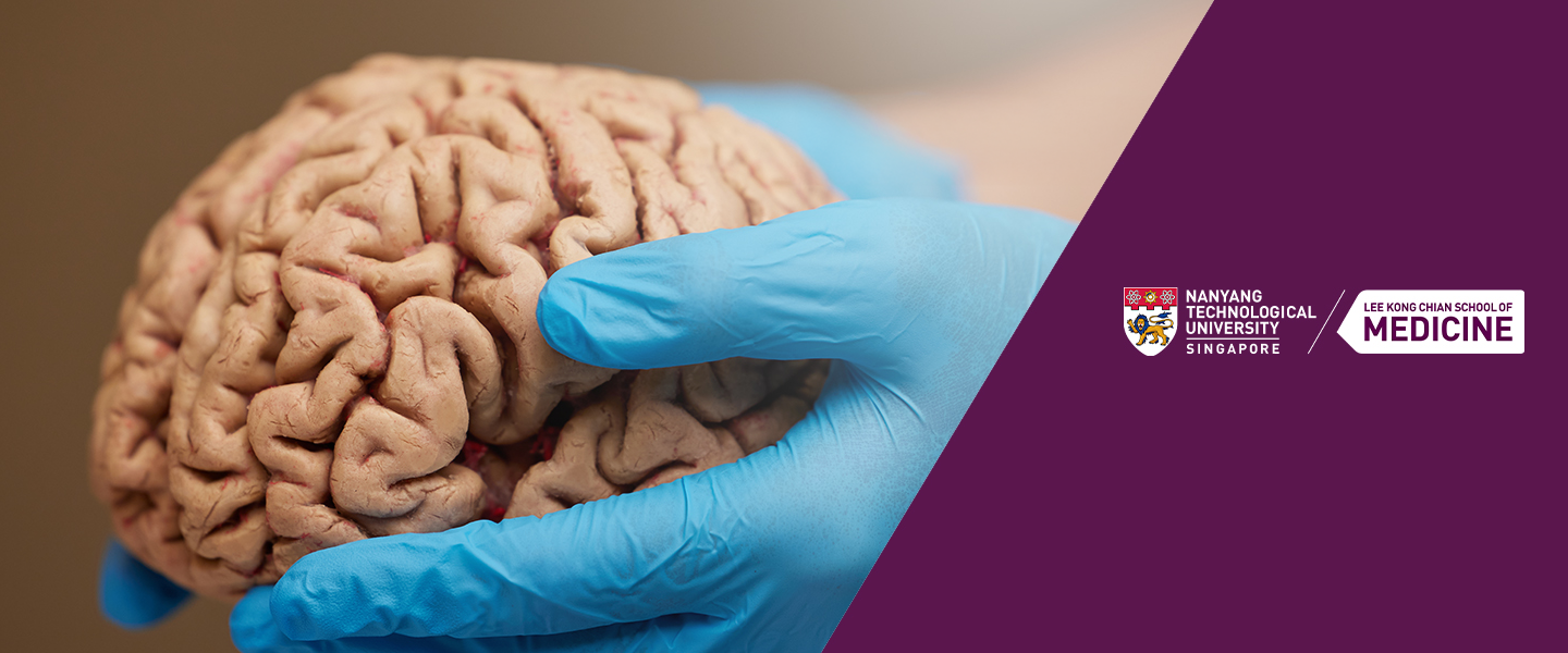 brainbank-web-banner