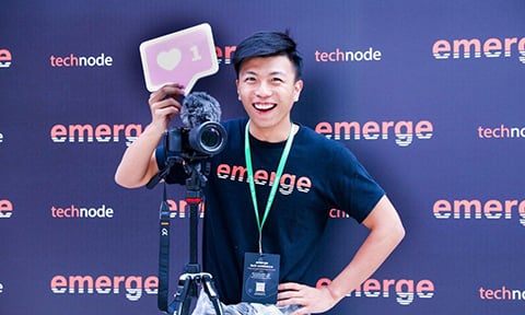 Professional Internship