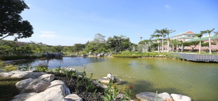 nanyang lake