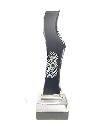 Nanyang Alumni Service Award