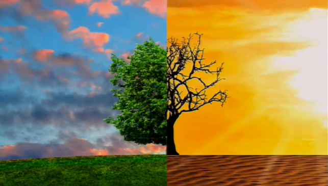 STEM Graduate Colloquium Climate Warming