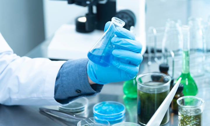 Faculty and Research