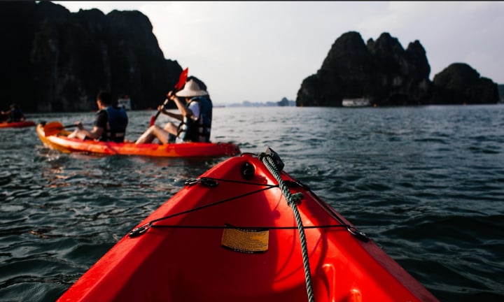 College of Science Kayak Clean-up