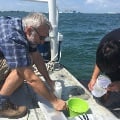 Sea Excursion on Microplastics