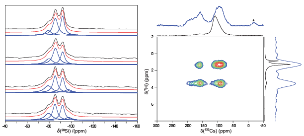 29Si[1H] CPMAS of various cements and a 133Cs-1H CPHETCOR of perovskite nanocrystals.