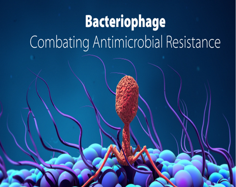 Phage Technology to Overcome AMR