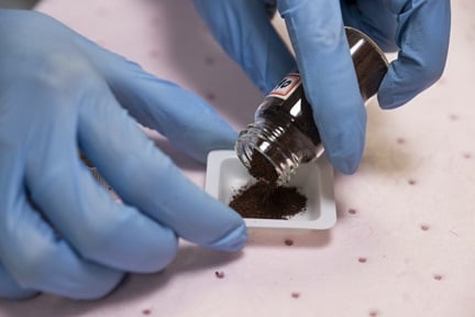 Solar-powered tech turns sewage sludge into green hydrogen and animal feed