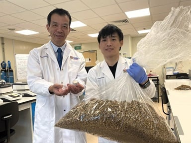 Turning beer leftovers into nutritional gold