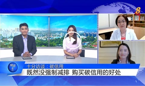 hello-singapore-carbon-credits-climate-action