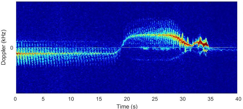 Micro-Doppler response