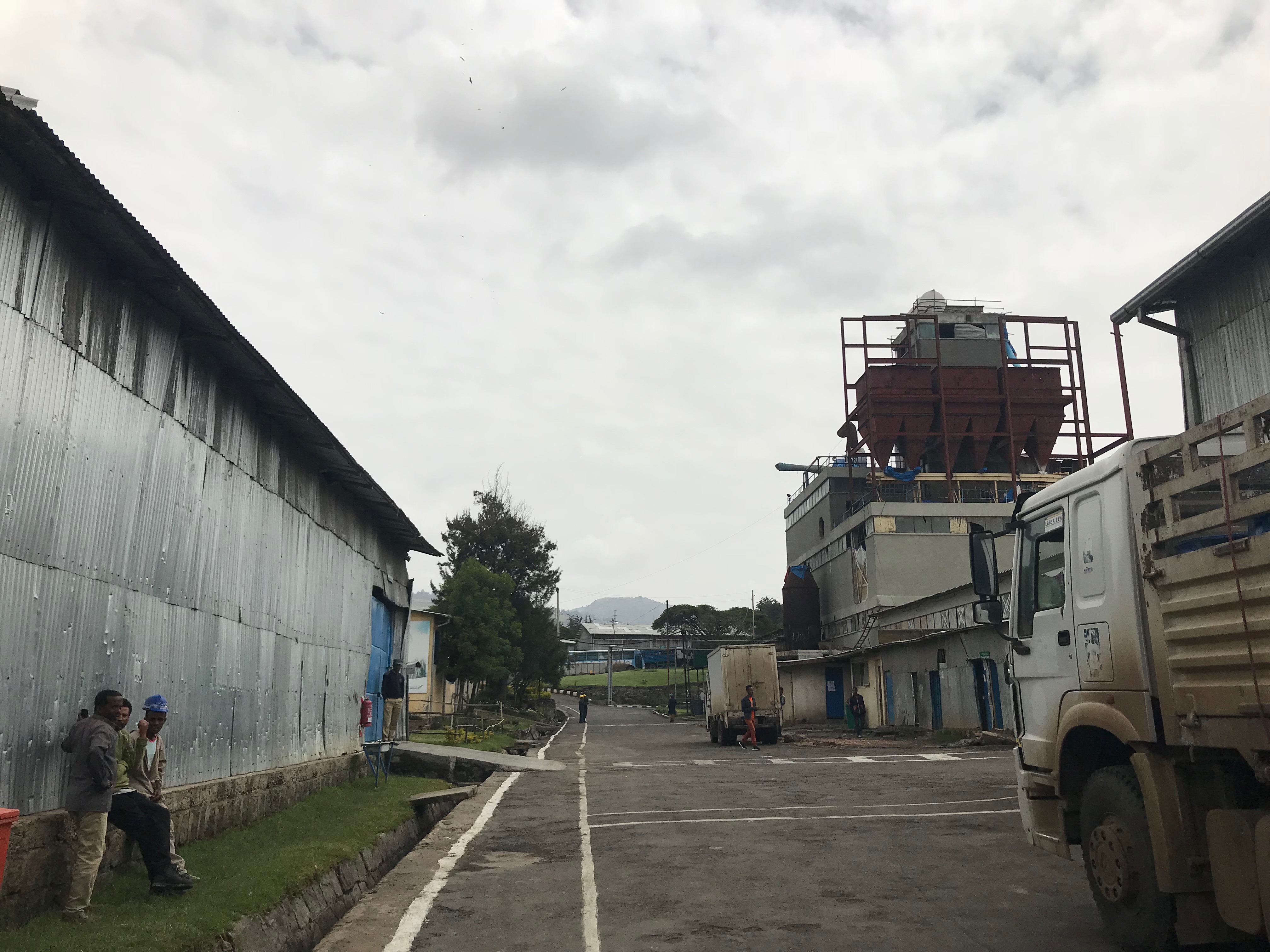 Trucks and workers at Wilmar International Limited, Ethiopia