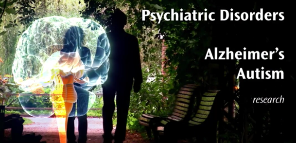 Brain with text on Disorders