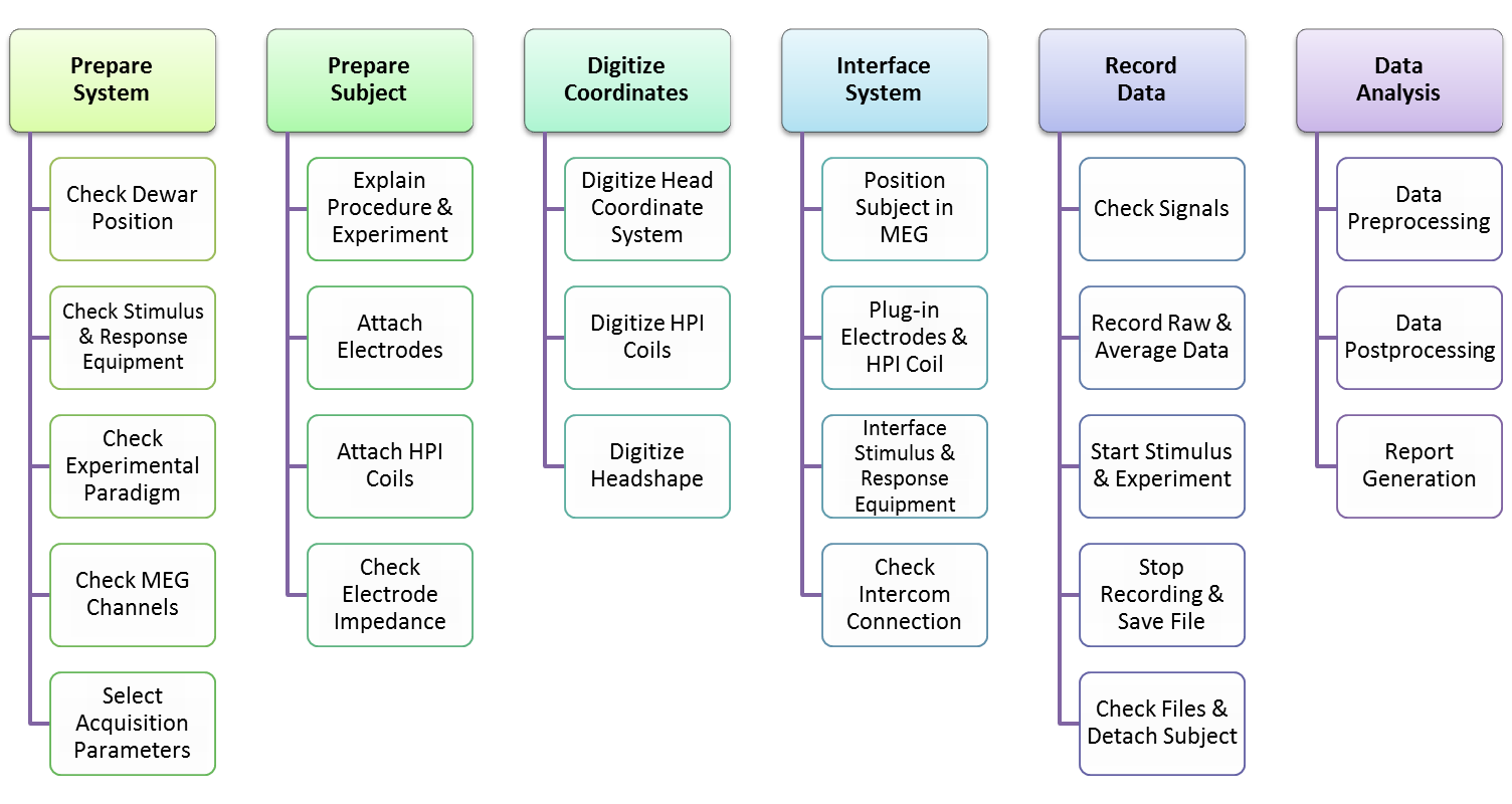 MEG workflow chart