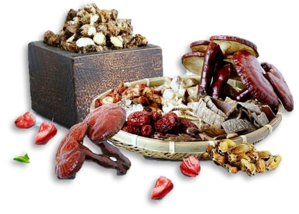 Discovering TCM Course