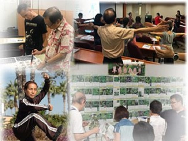 Healthy Ageing through Learning and Practice