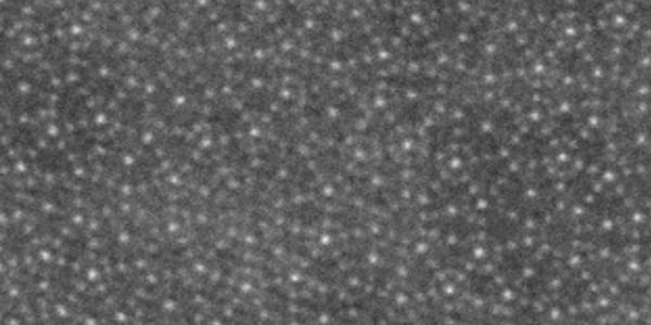 HAADF image of a quasicrystal