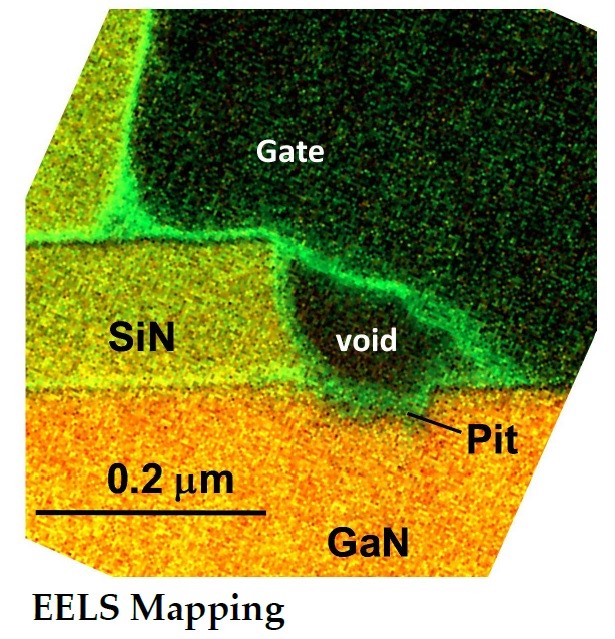 facts_eels-mapping