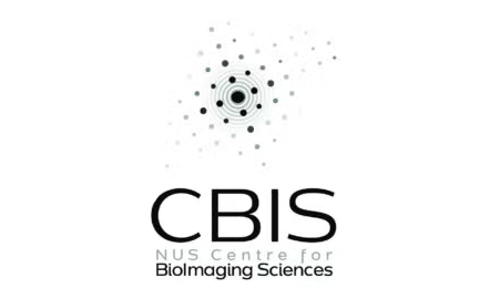 NUS Centre for Bioimaging Sciences logo