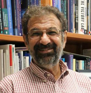 Professor Joseph B Walther