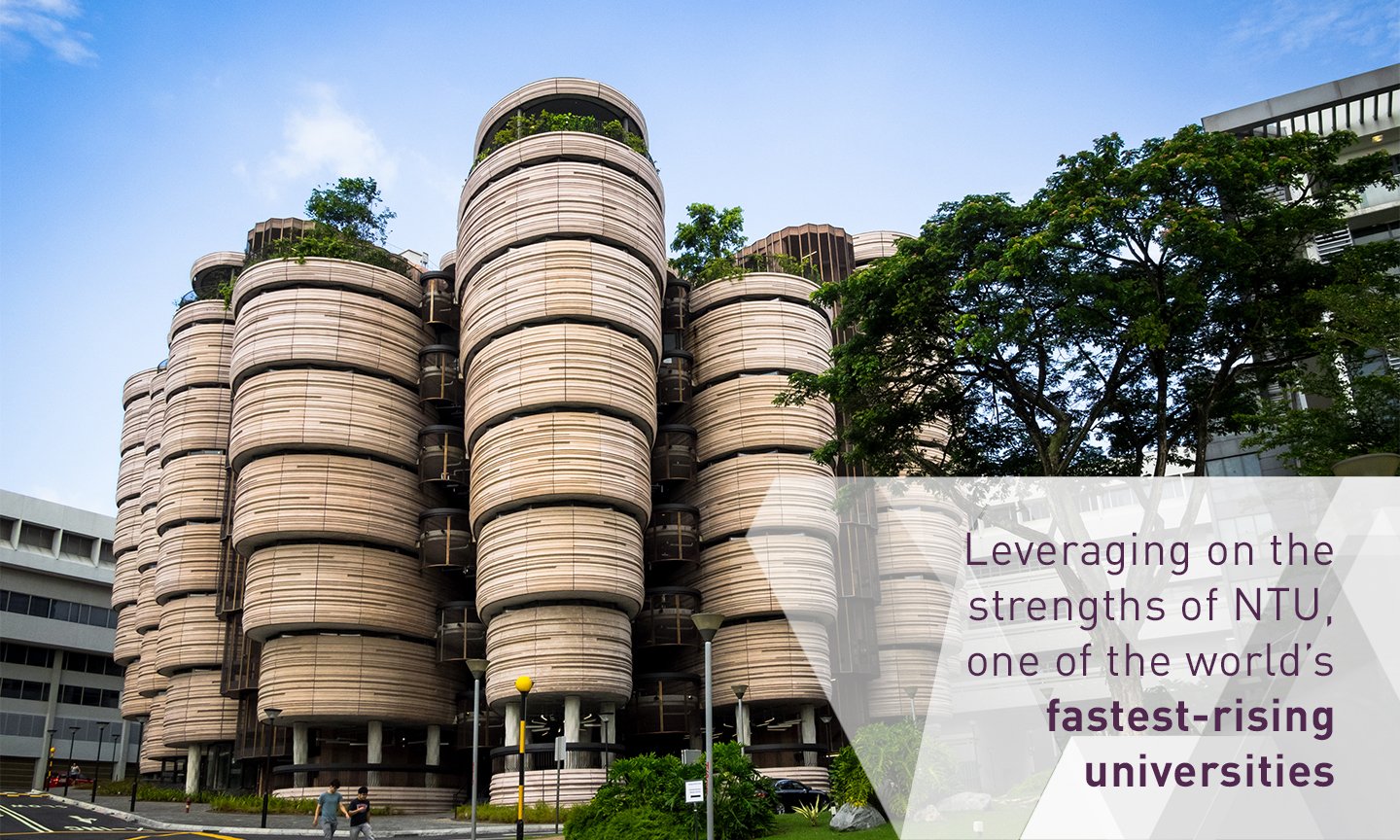 ntu ntu