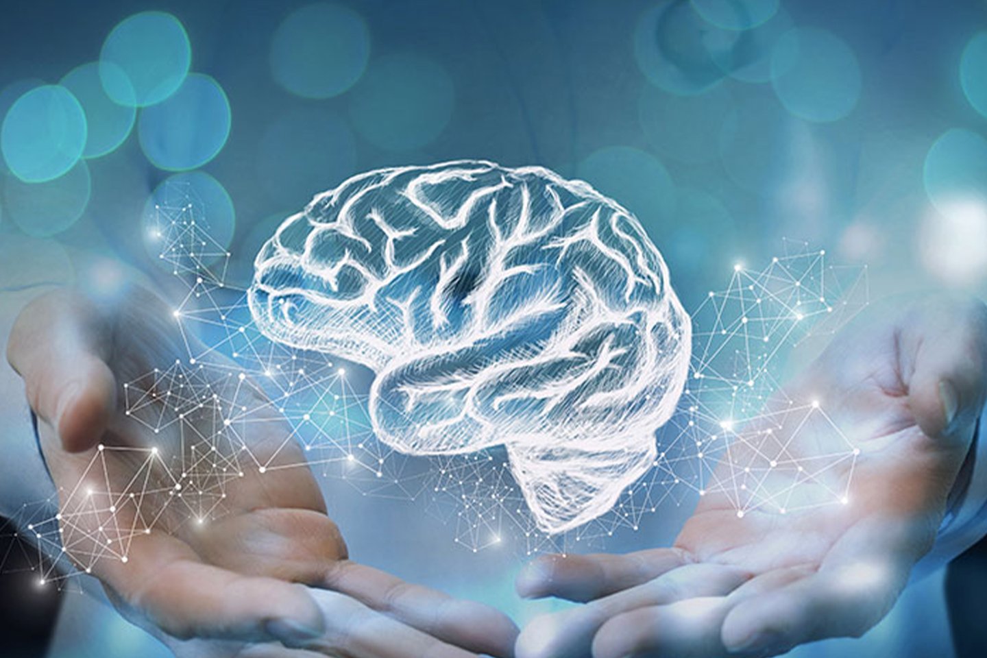 brain bank 5th anniversary image