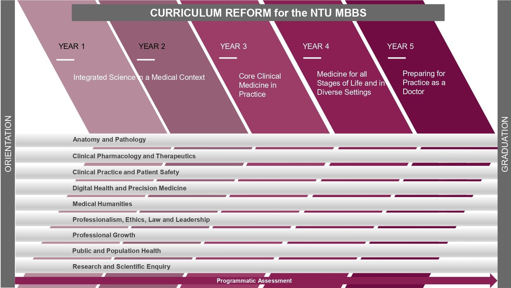 Curriculum
