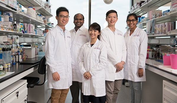 The LKCMedicine PhD by Research Programme