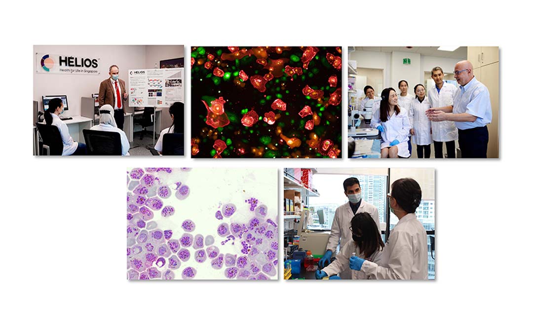 cover thumbnail edit