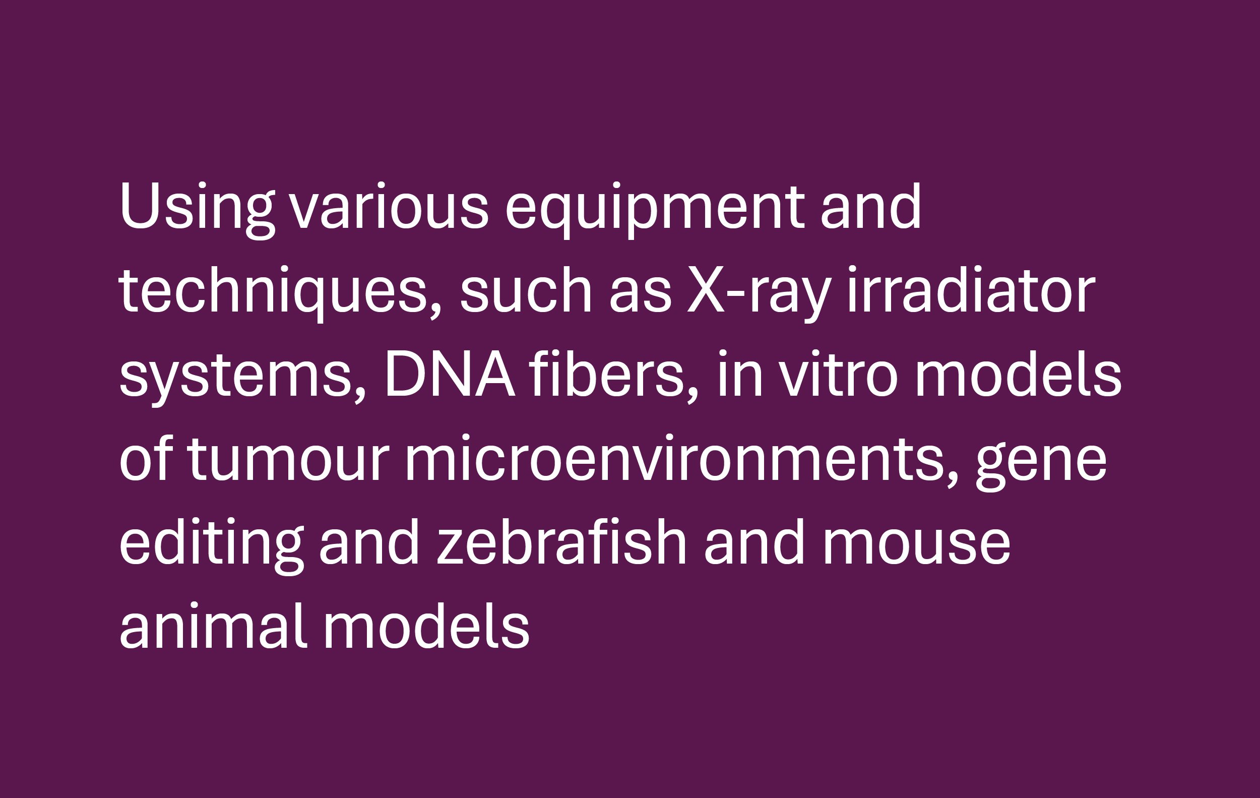 x-ray radiation systems, DNA fibers, tumour microenvoriments