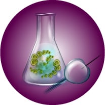 Microbiome Research Programme