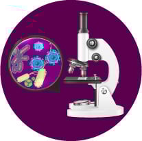 Microbiome Research Programme