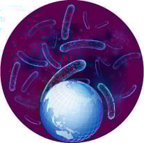 Respiratory and Infectious Diseases