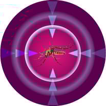 Respiratory and Infectious Diseases
