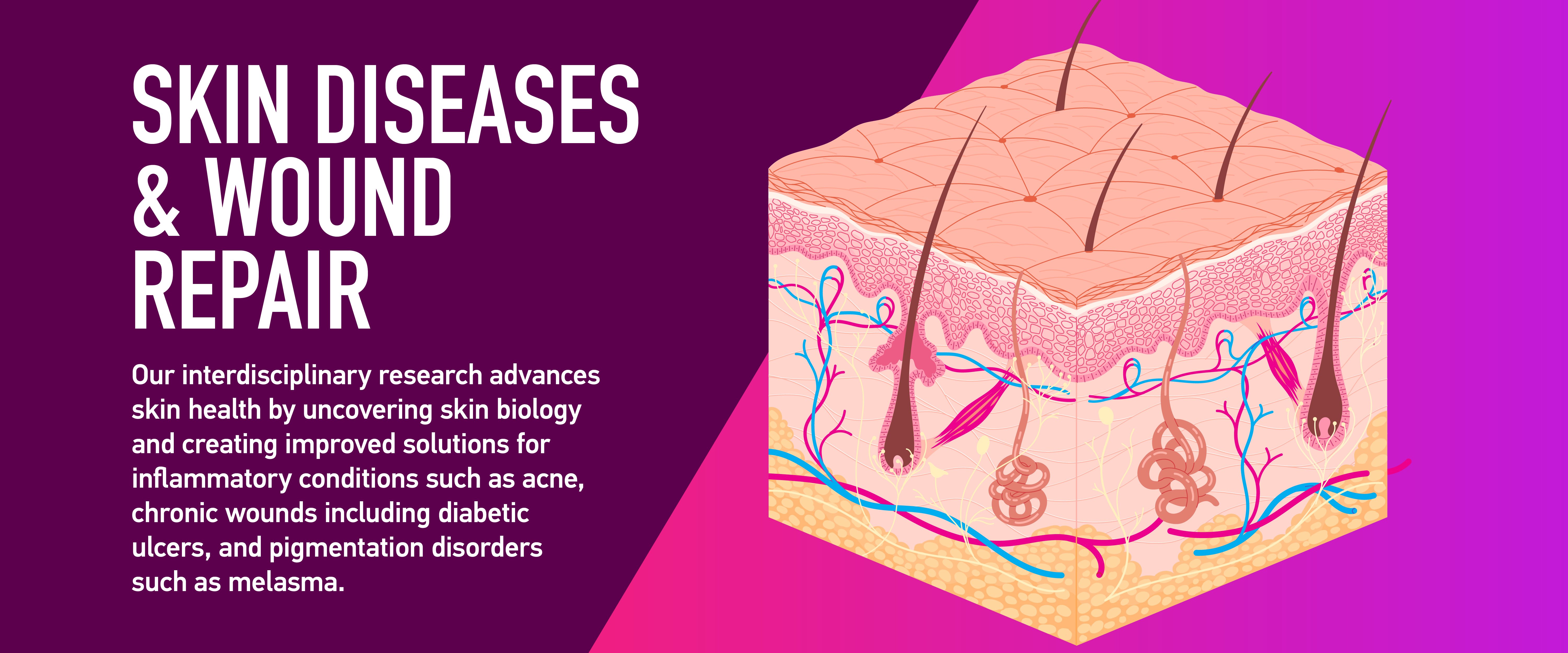 Skin Diseases and Wound Repair