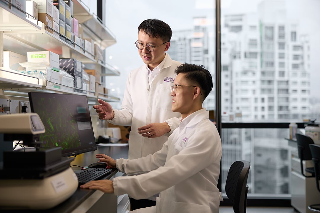 Microbiome Research Programme