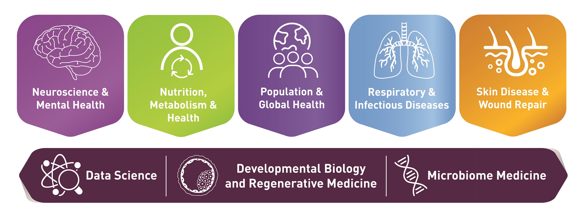 LKCMedicine Research Mindmap