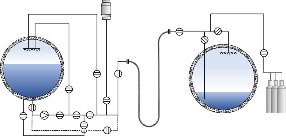 Ammonia Project showcase